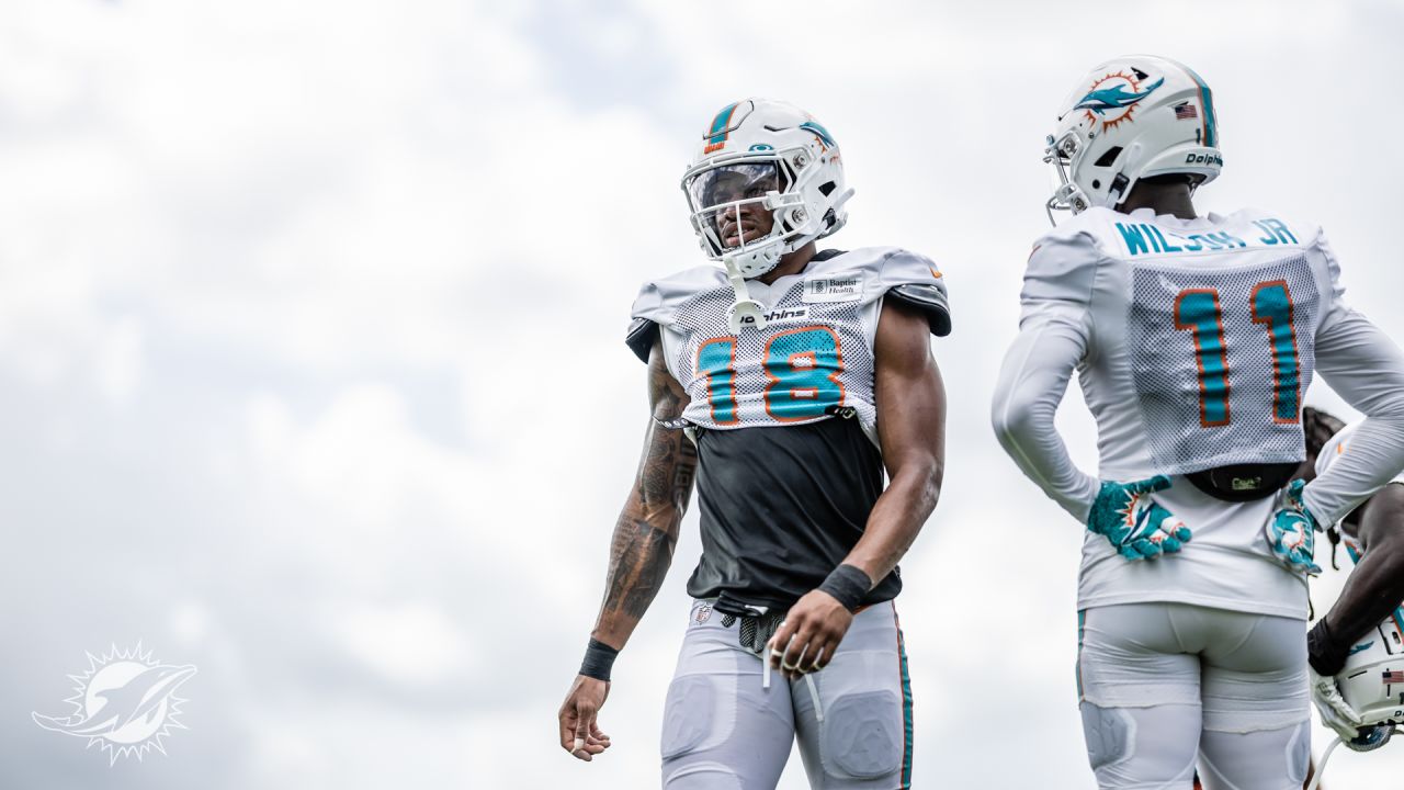 Miami Dolphins 2023 Training Camp Photos - August 1