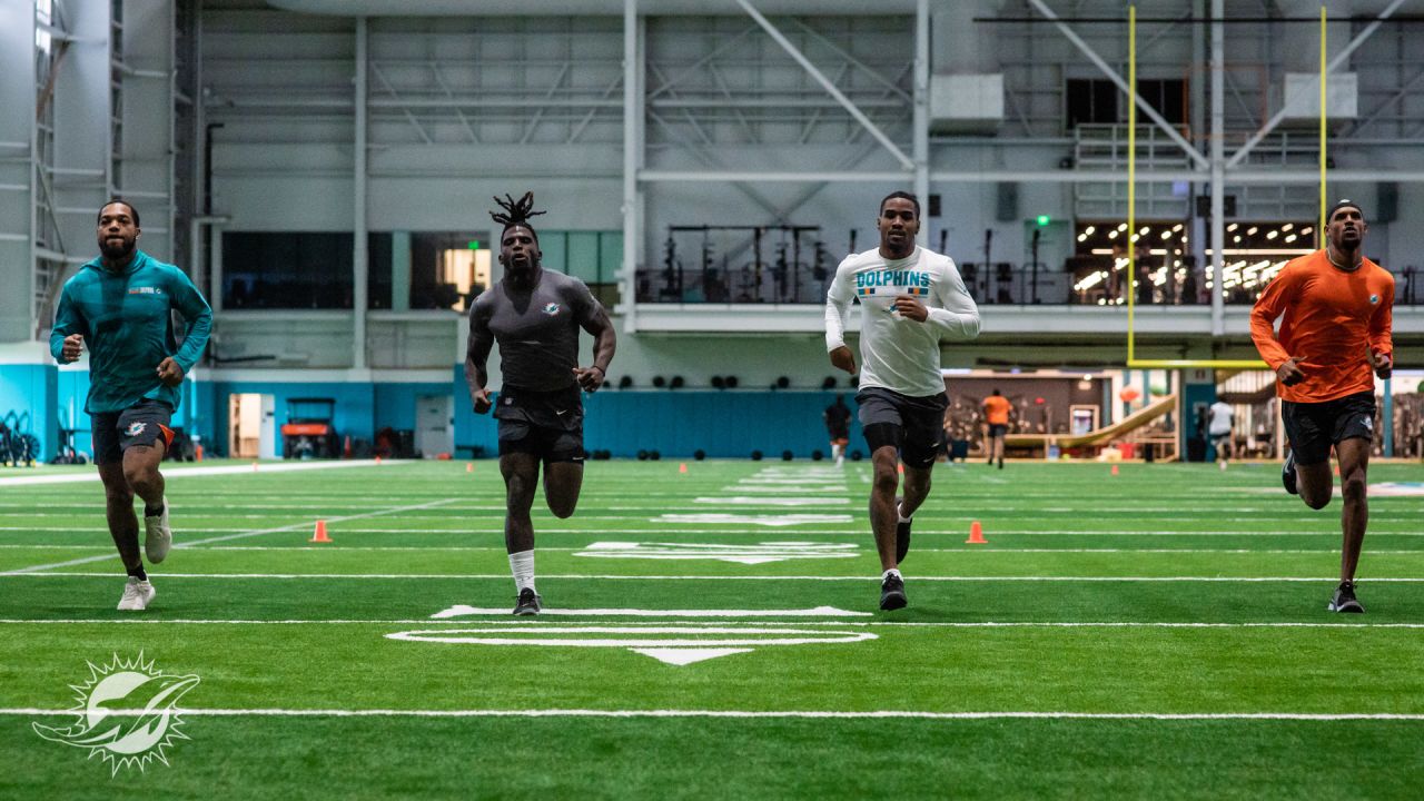 dolphins off season