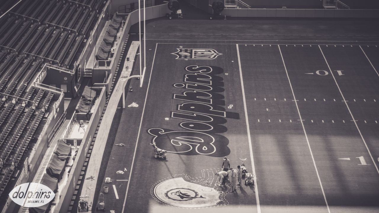 DOLPHINS DARKROOM: Throwback End Zones