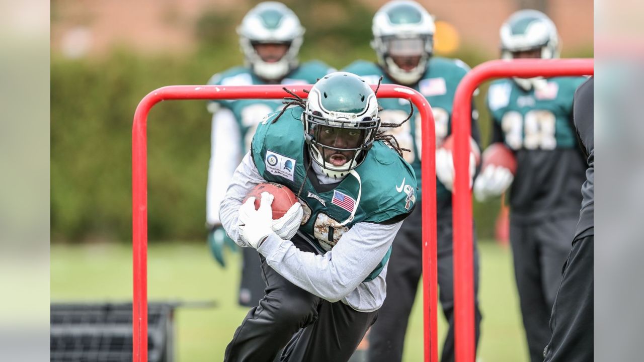 LeGarrette Blount: Jay Ajayi 'Makes Our Room A Lot Stronger'