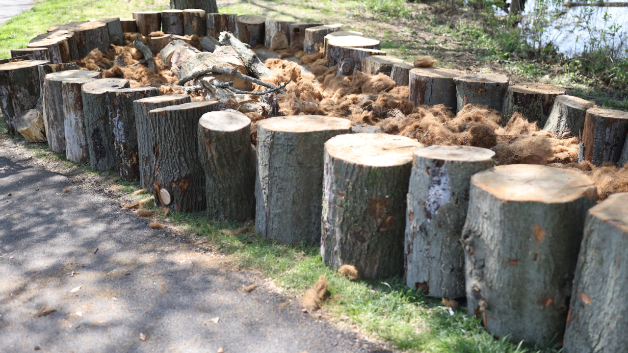 Earth Day is every day for the Eagles