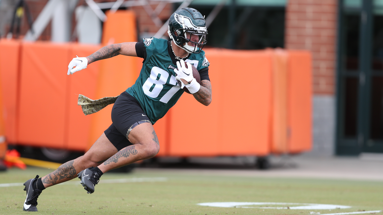 Philadelphia Eagles Wide Receiver Preview - Last Word on Pro Football