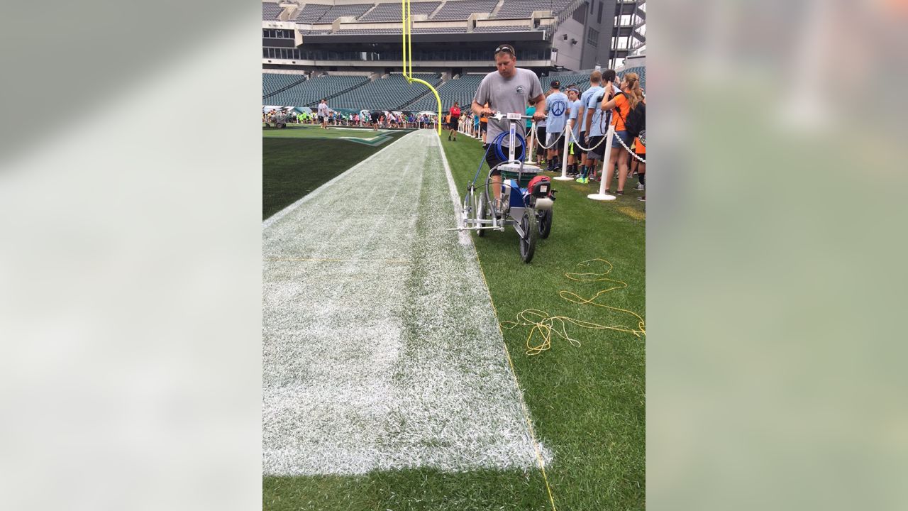 Philadelphia Eagles: Lincoln Financial Field Endzone View Mural