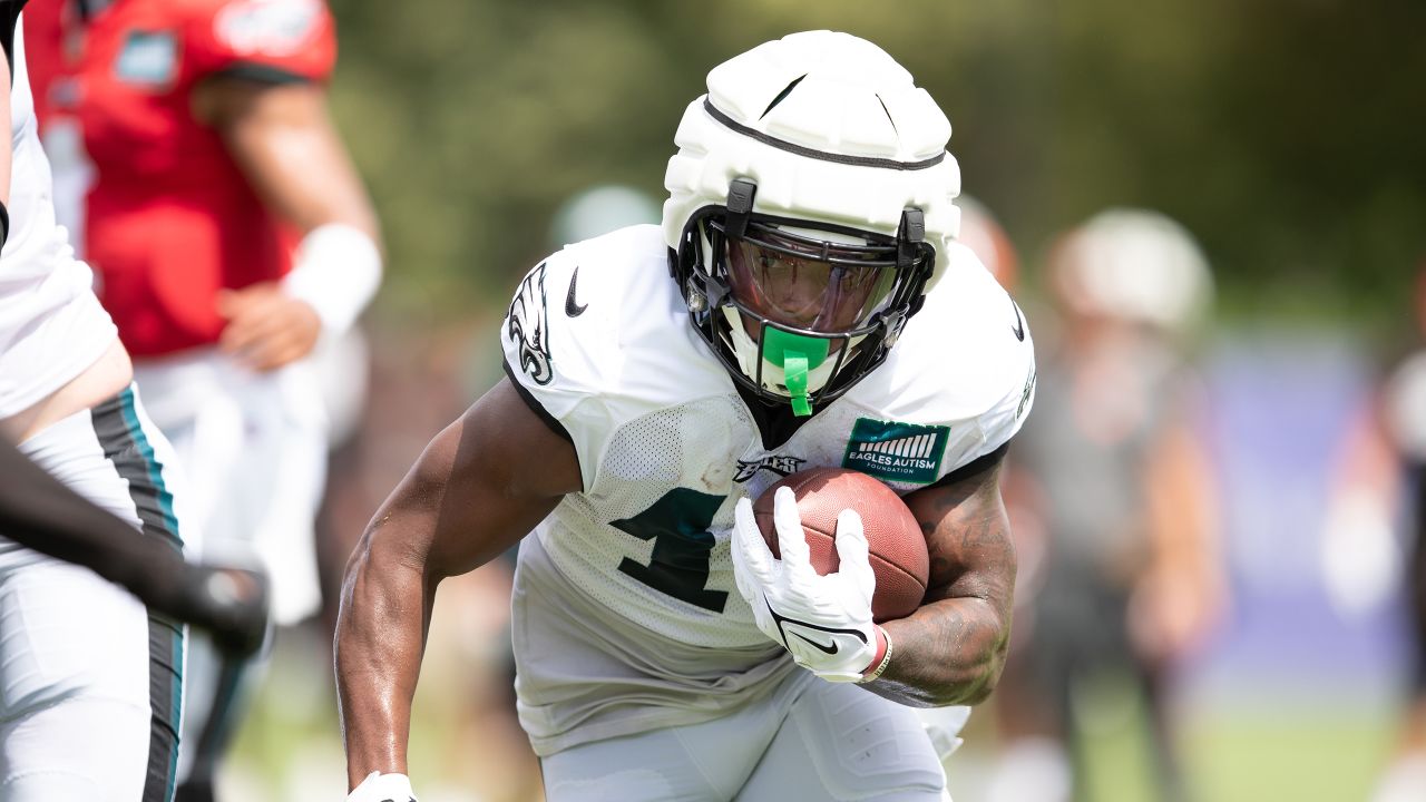 Stock up, stock down at Eagles training camp: Jordan Davis, Reed  Blankenship shine after first three practices 