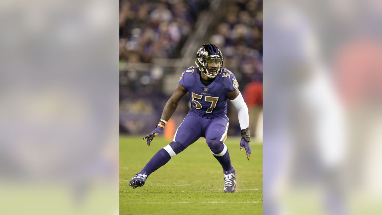 Baltimore Ravens: Suggs, Weddle, and Mosley Voted Into Pro Bowl