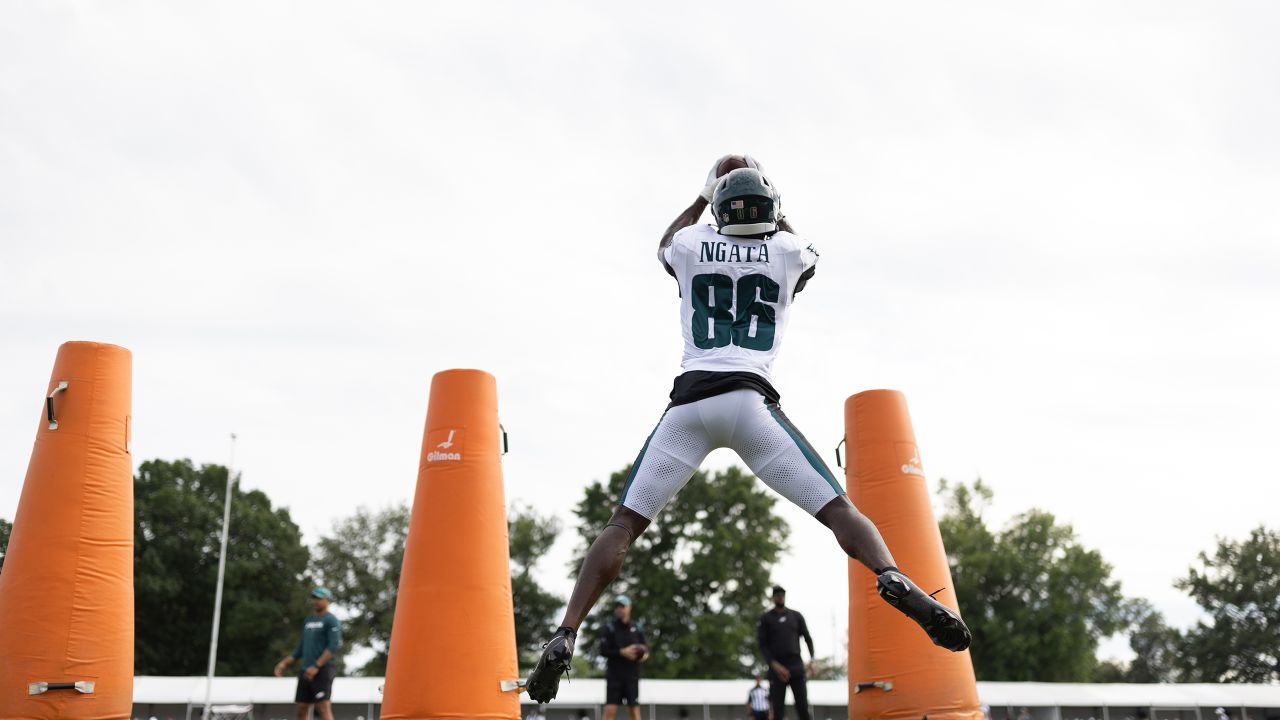 Philadelphia Eagles wide receiver Joseph Ngata (86) in action