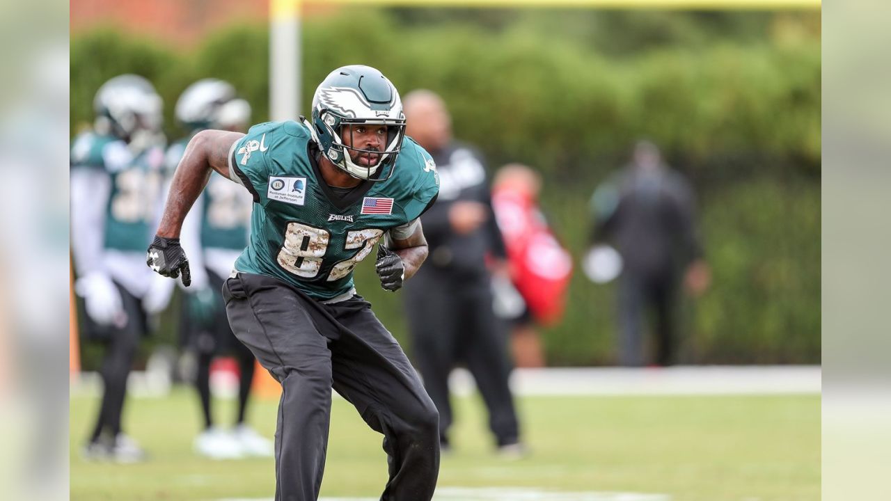 LeGarrette Blount, Jay Ajayi Embrace Sharing The Workload In