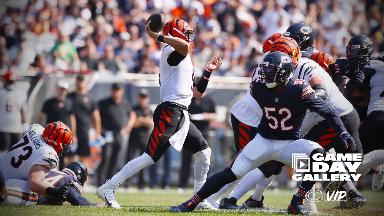 Chicago Bears edge Cincinnati Bengals 20-17 in Week 2, improve to