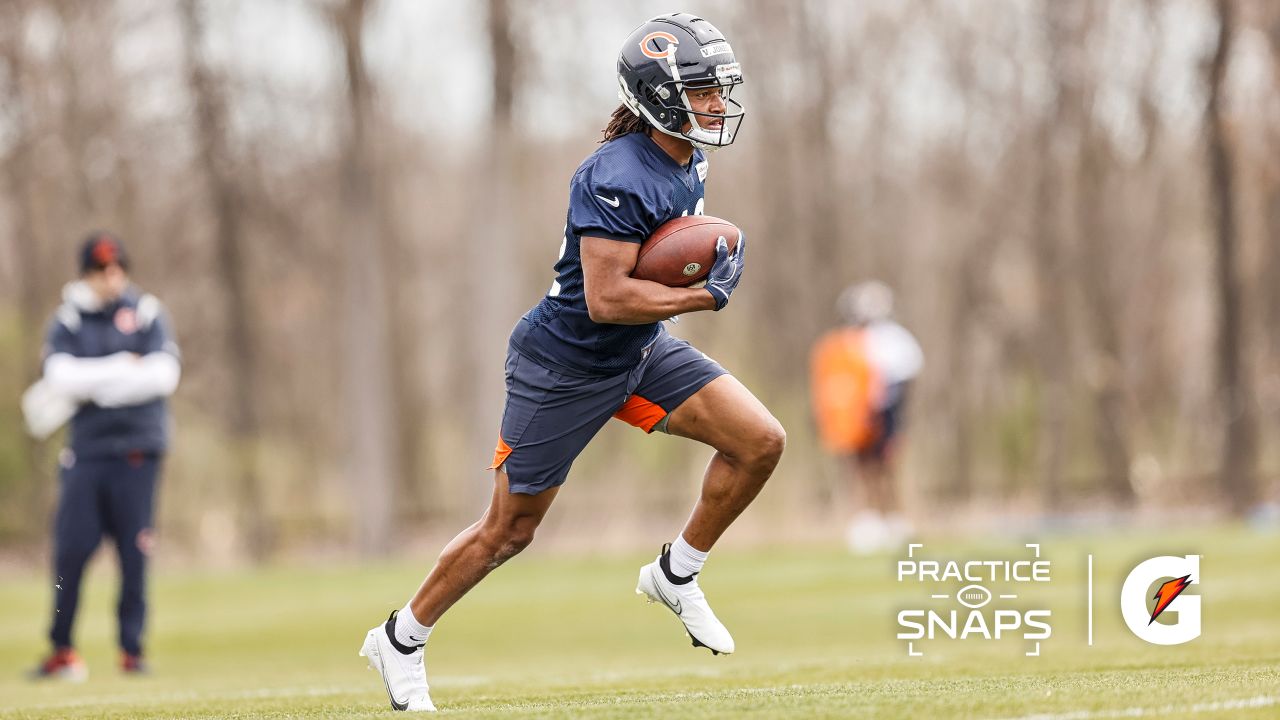 Learning fullback position leads undrafted rookie Jake Tonges to spot on Chicago  Bears' roster – Shaw Local