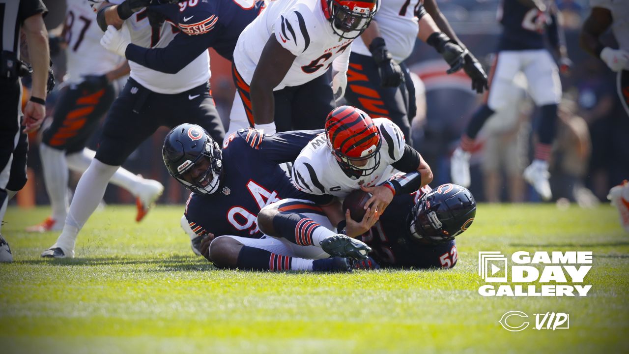 Gameday Gallery: Bengals at Bears