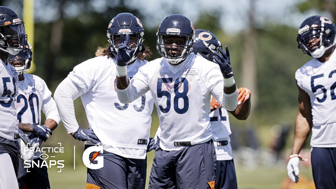 Everybody has a different sense of confidence': Why Roquan Smith's return  matters for the Chicago Bears – Orange County Register