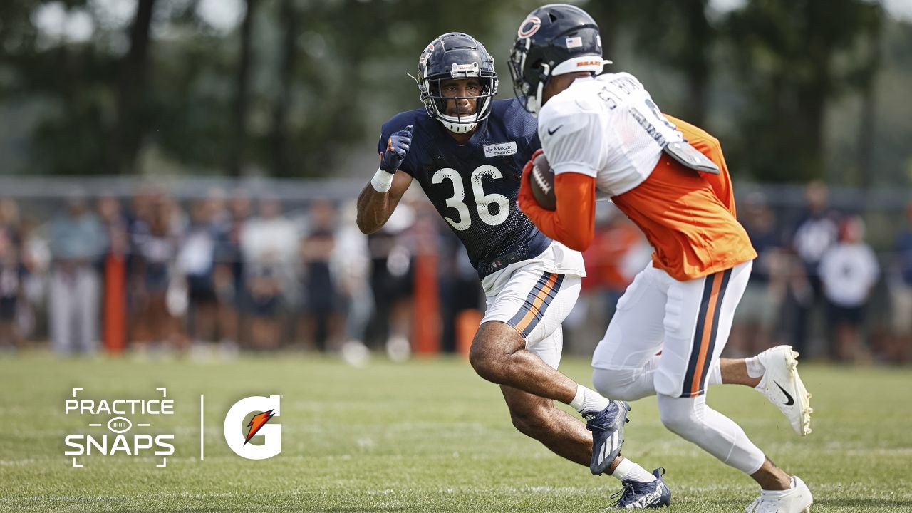 Bears training camp: WR Equanimeous St. Brown has been early standout