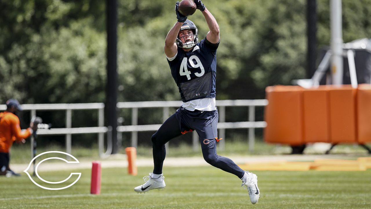 Bears sign veteran tight end Stephen Carlson to a one-year deal – NBC  Sports Chicago