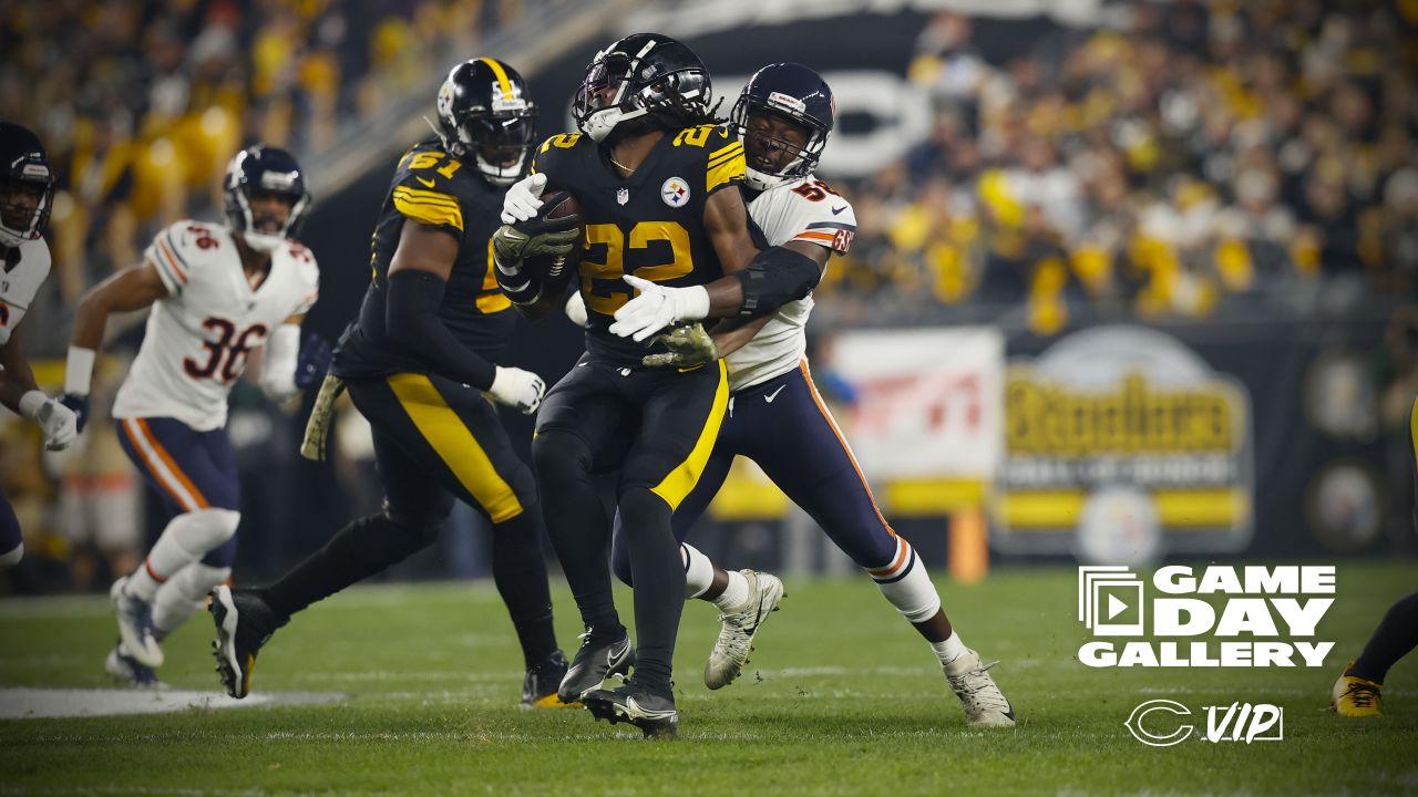 Photo gallery: Steelers at Bears