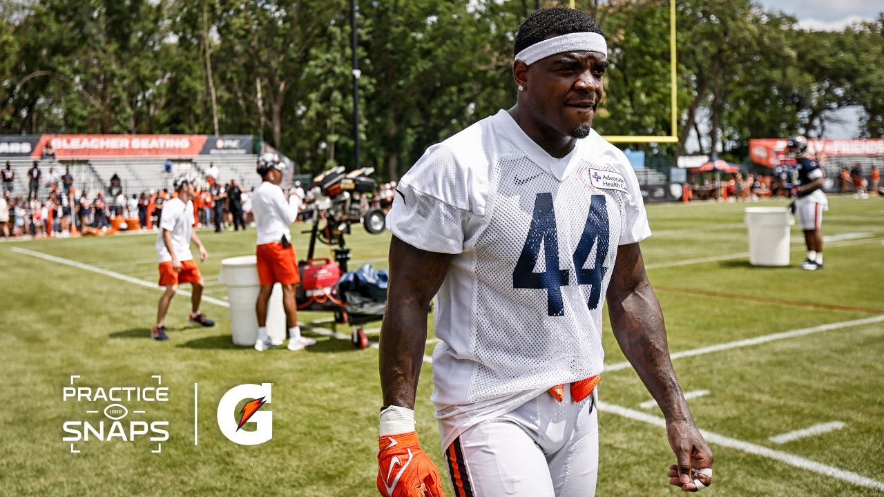 Chicago Bears linebacker Buddy Johnson (50) runs after a catch during an  NFL football joint practice with the Indianapolis Colts at the Colts'  training camp in Westfield, Ind., Wednesday, Aug. 16, 2023. (