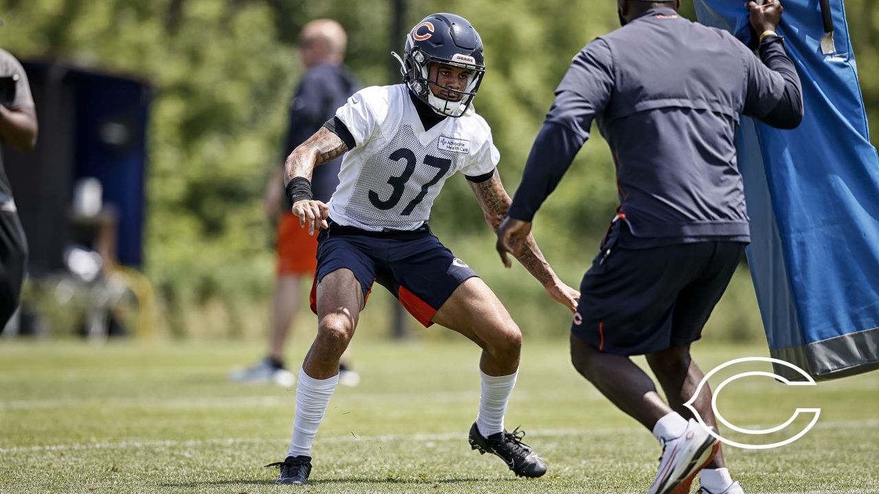 Bears sign veteran tight end Stephen Carlson to a one-year deal – NBC  Sports Chicago