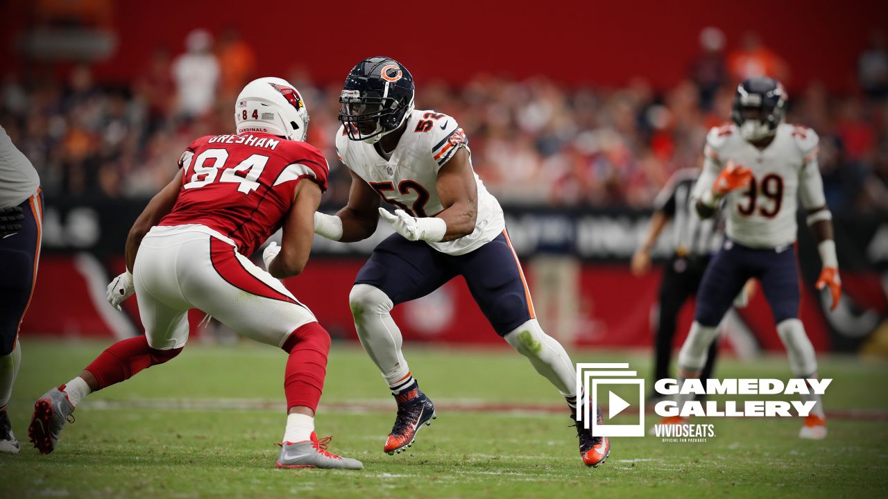 Chicago Bears Preseason: Cardinals Intercept Cutler's Path to Victory, News, Scores, Highlights, Stats, and Rumors