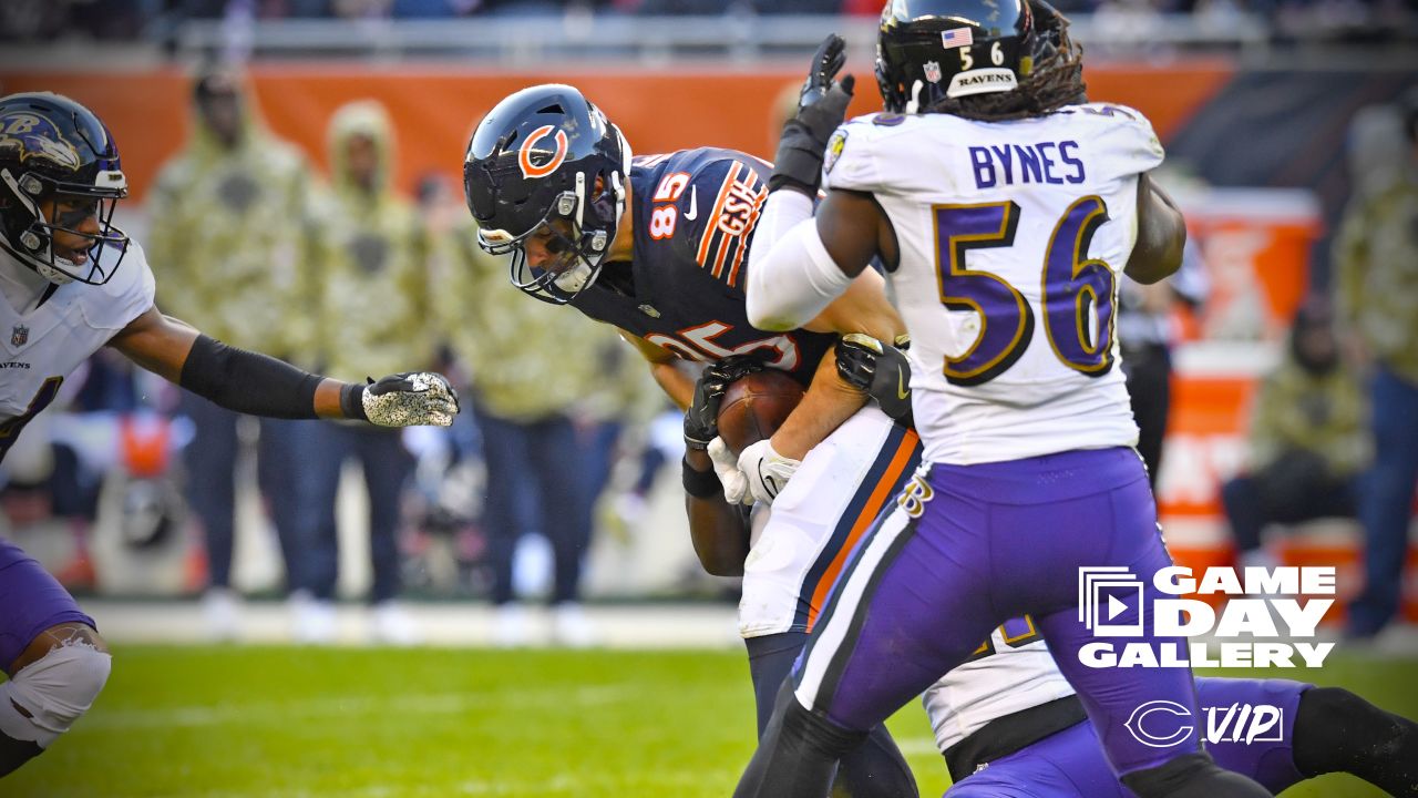 The Comprehensive Guide to Bears vs. Ravens - On Tap Sports Net