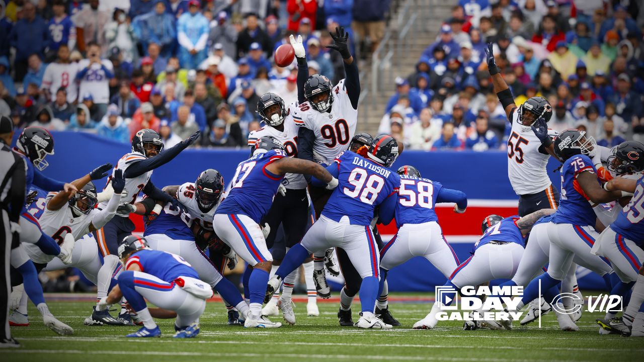 Chicago Bears fan chows down on pumpkin pie during game vs. New York Giants