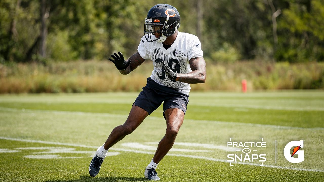 Chicago Bears tight end Jake Tonges (46) during an NFL Preseason football  game against the Seattle