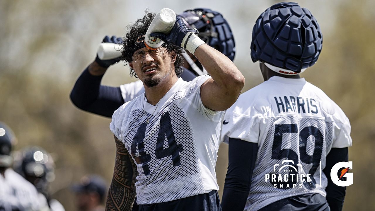 Chicago Bears linebacker Noah Sewell (44) walks off the field