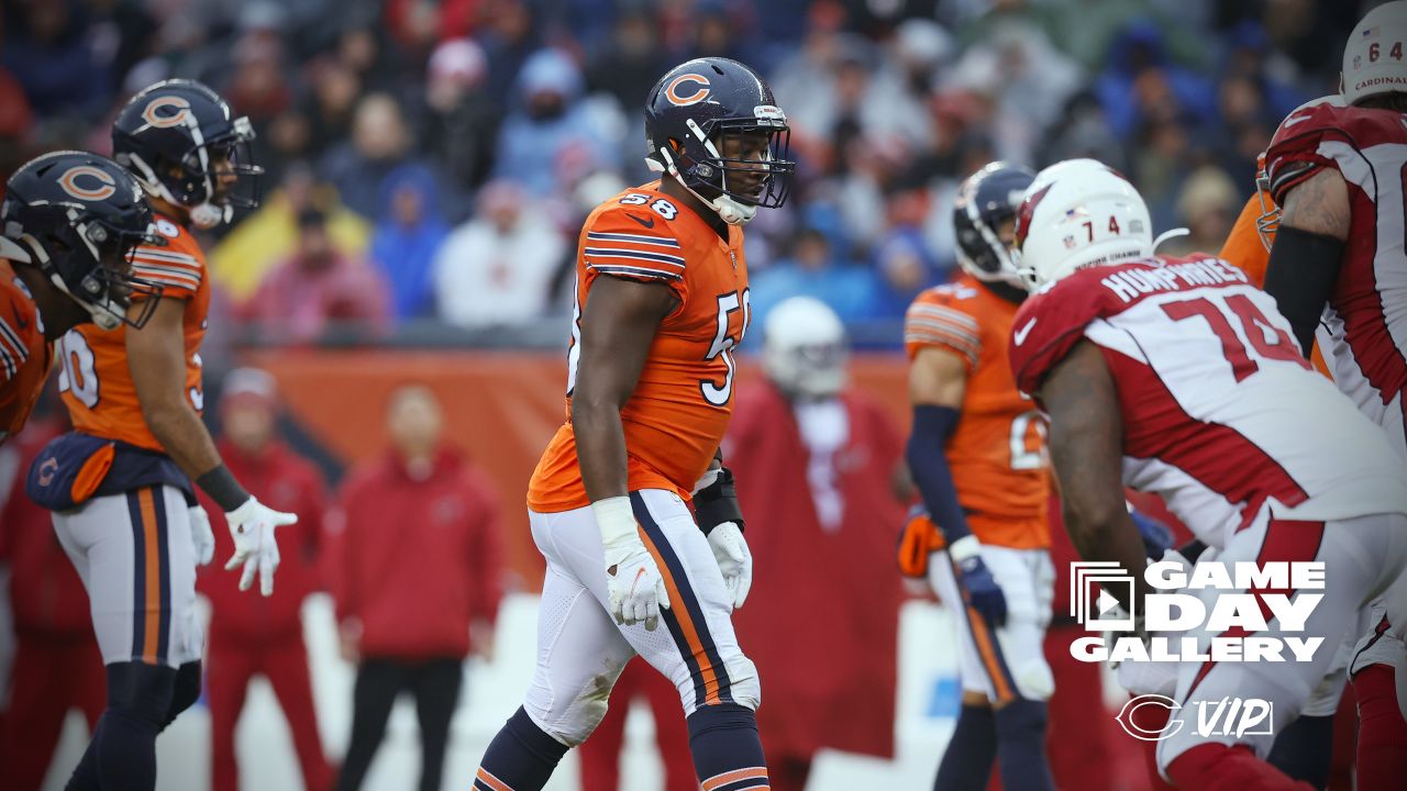 After Ending Losing Streak, Bears Face Stern Test Against Arizona Cardinals, Chicago News