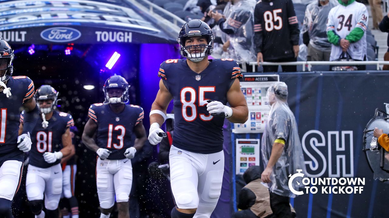 Chicago Bears countdown to kickoff: No. 99 The Danimal