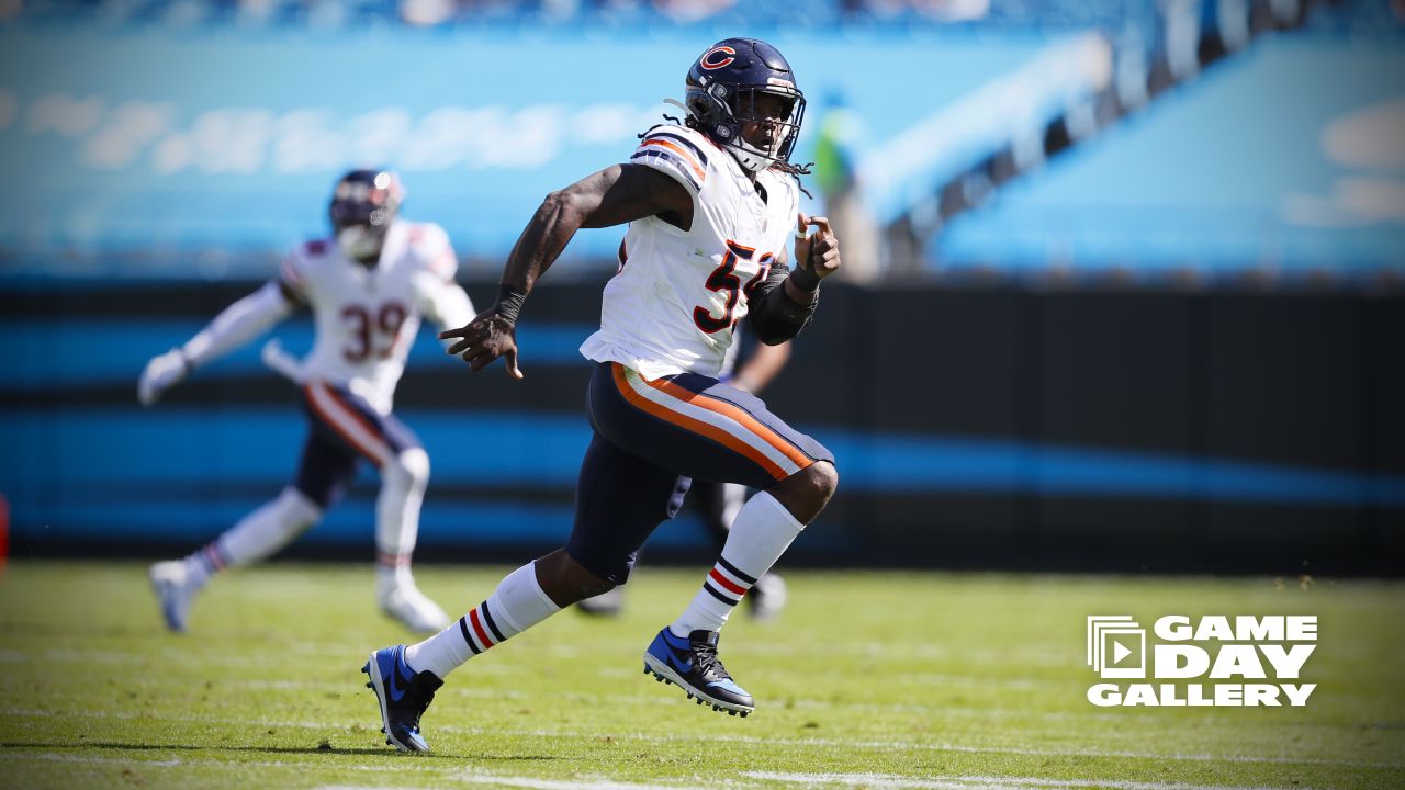 Gameday Gallery: Bears at Panthers