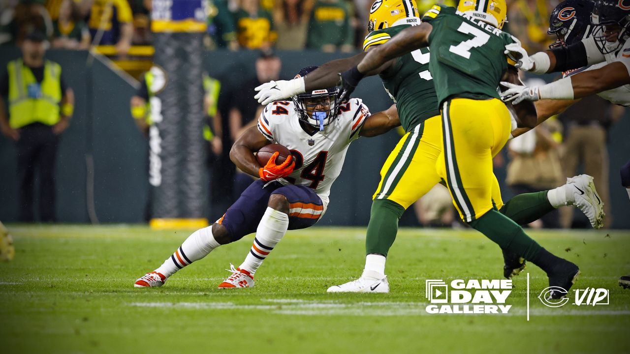 The NFC Championship Game: How the Chicago Bears Will Send Green Bay  Packing, News, Scores, Highlights, Stats, and Rumors