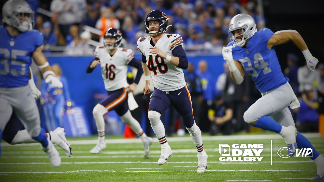 Lions rout Bears 41-10