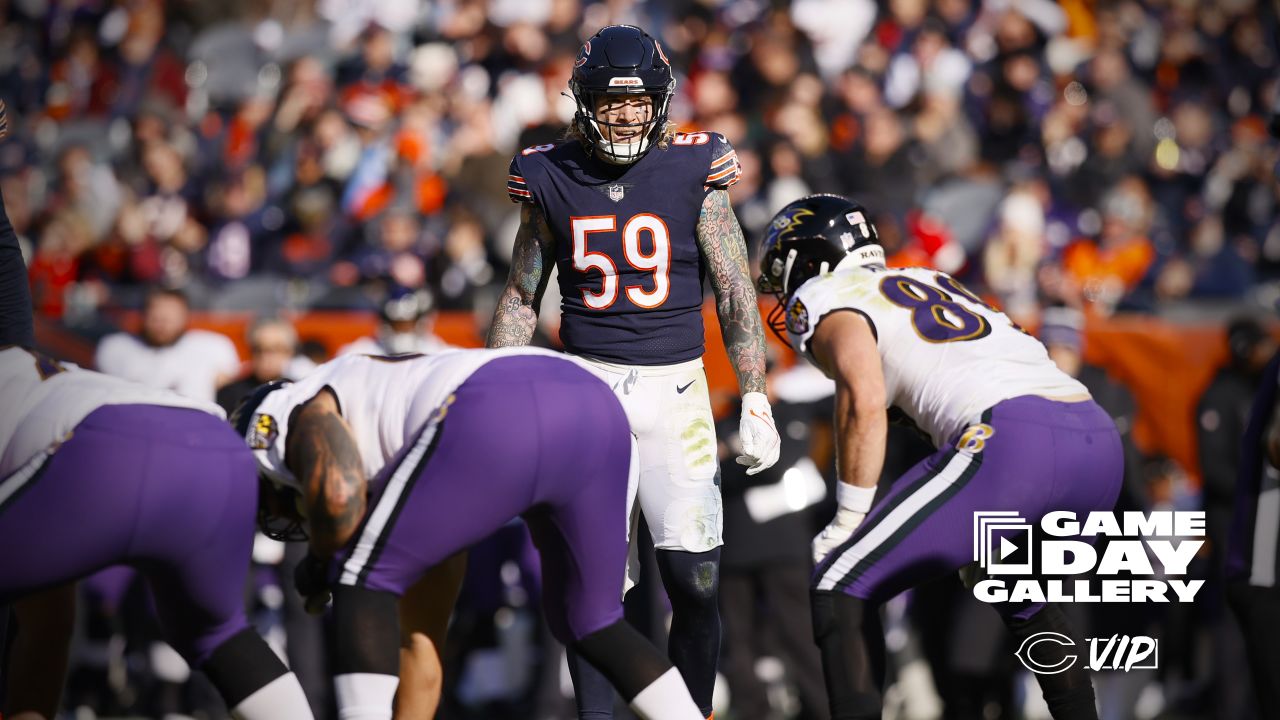 Baltimore Ravens at Chicago Bears (11/21/21): How to watch NFL