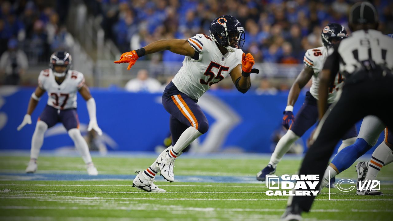 Week 12 Pre-Gamin': BEARS at LIONS (11:30 AM CT) Lineups, Broadcast Info,  Game Thread - Bleacher Nation