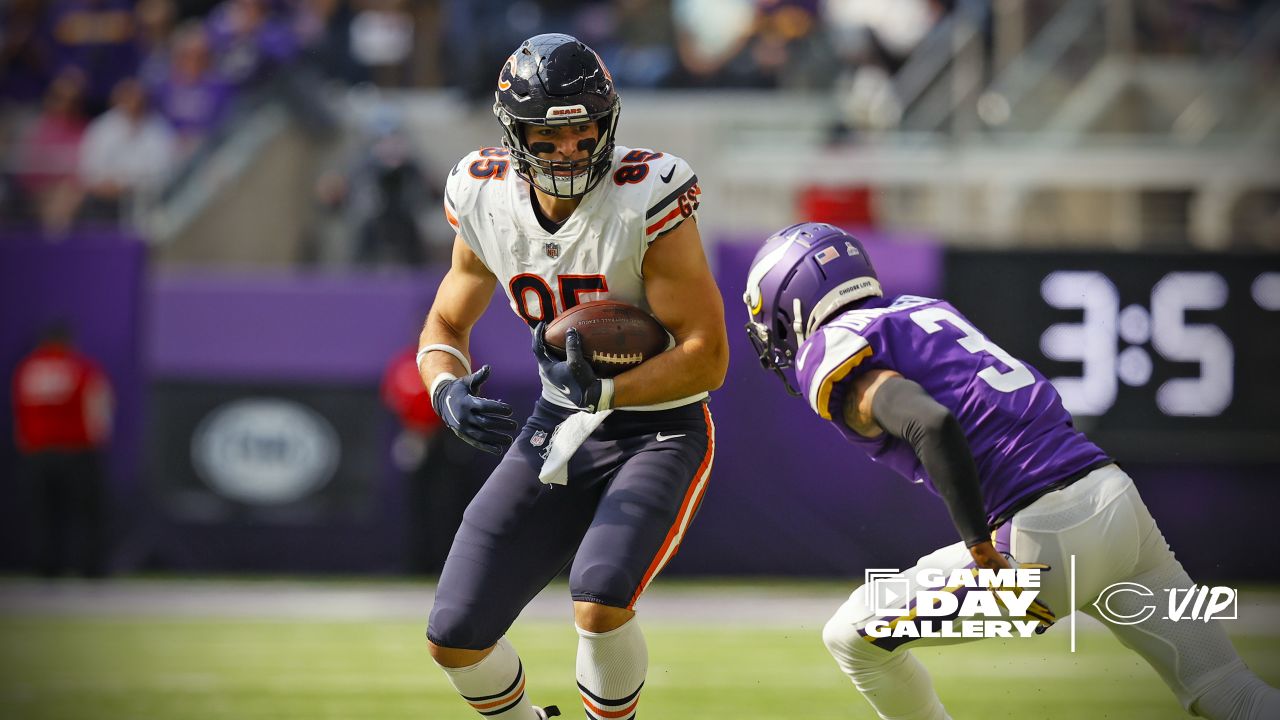 Bears' comeback bid in Minnesota falls short