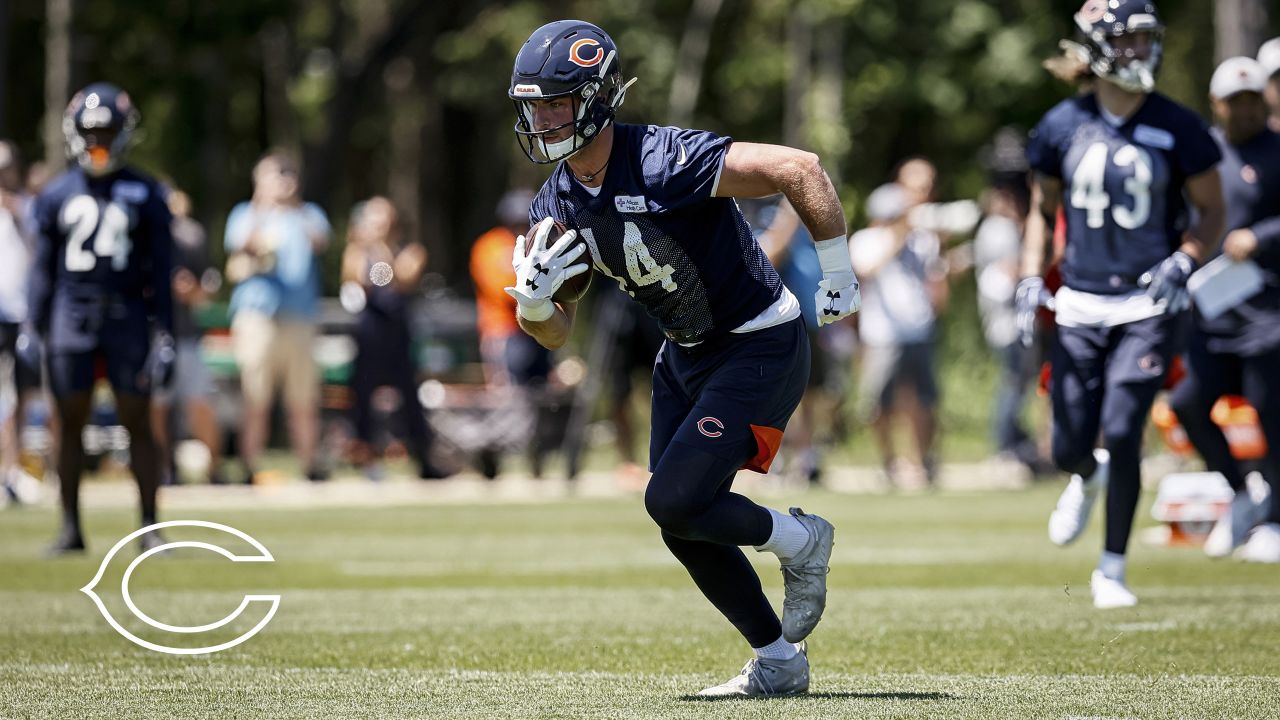 Bears sign veteran tight end Stephen Carlson to a one-year deal – NBC  Sports Chicago