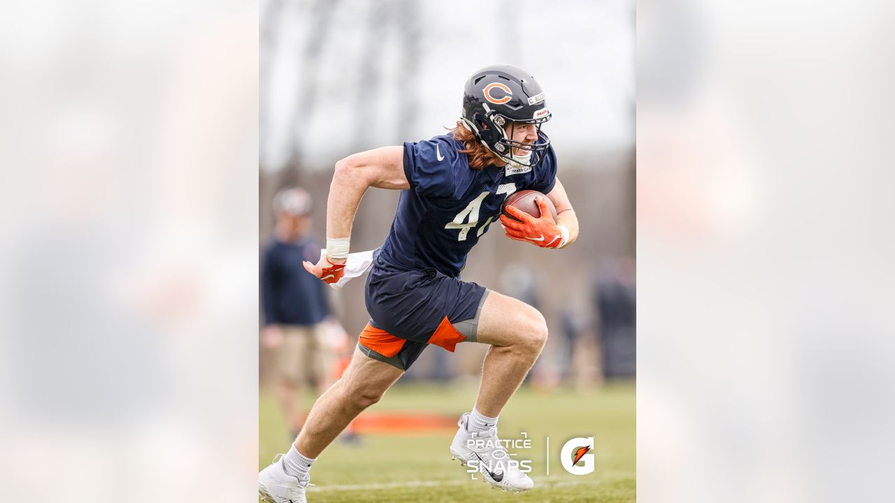 Learning fullback position leads undrafted rookie Jake Tonges to spot on Chicago  Bears' roster – Shaw Local