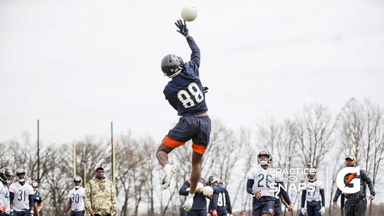 cyrus holder chicago bears