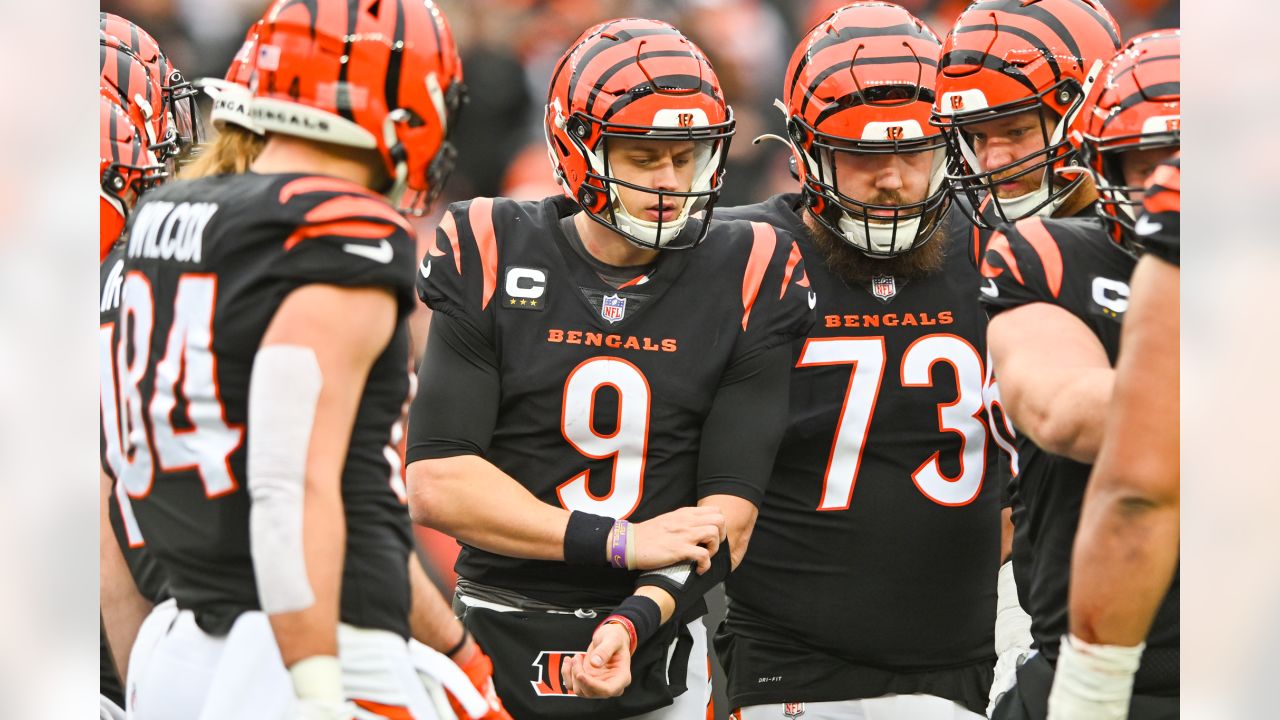 Photos: Week 14 - Browns at Bengals Game Action