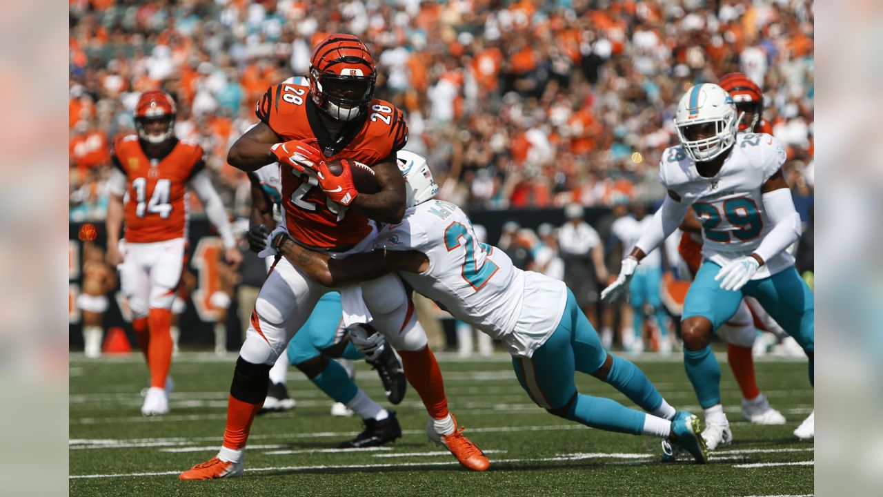 A.J. Green, defense leads Bengals past Dolphins 22-7