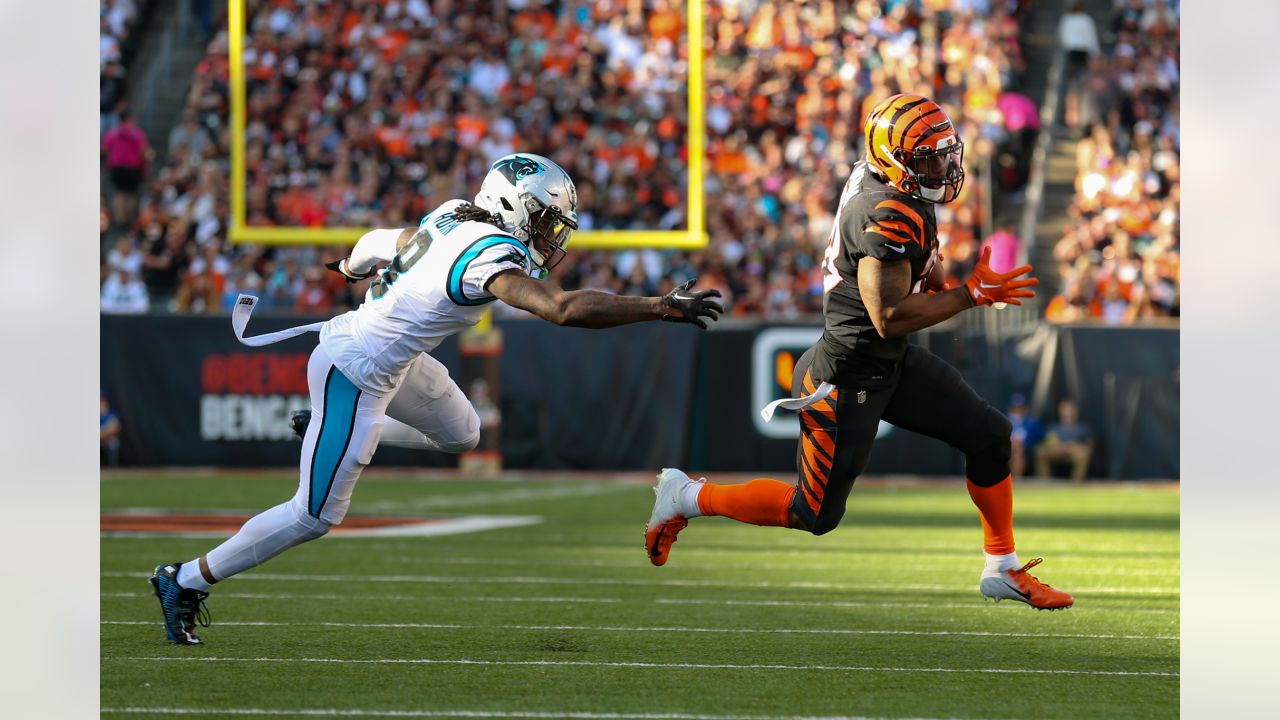 Game Angles: Best of Panthers-Bengals in Week 9