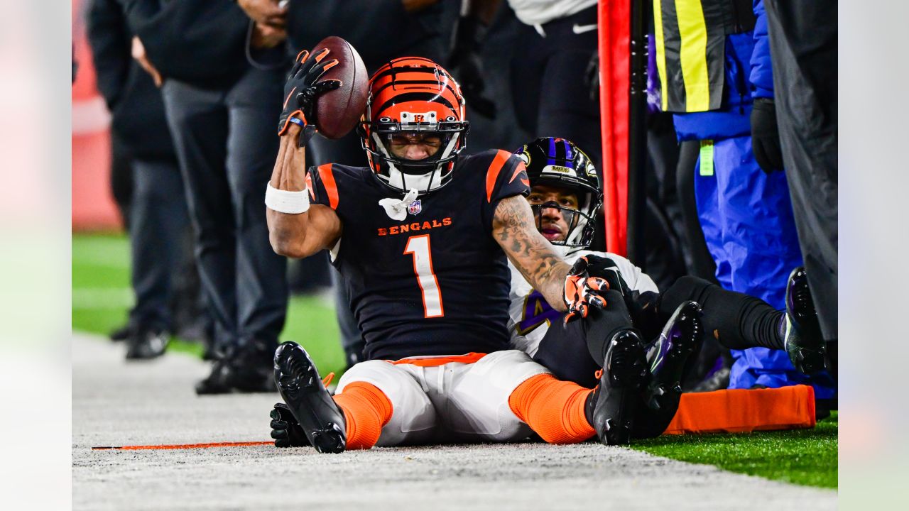 Highest price for Bengals, Ravens wild card tickets tops $16,000