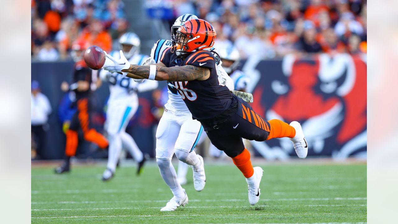 Photos: Best of Bengals-Panthers Game Action