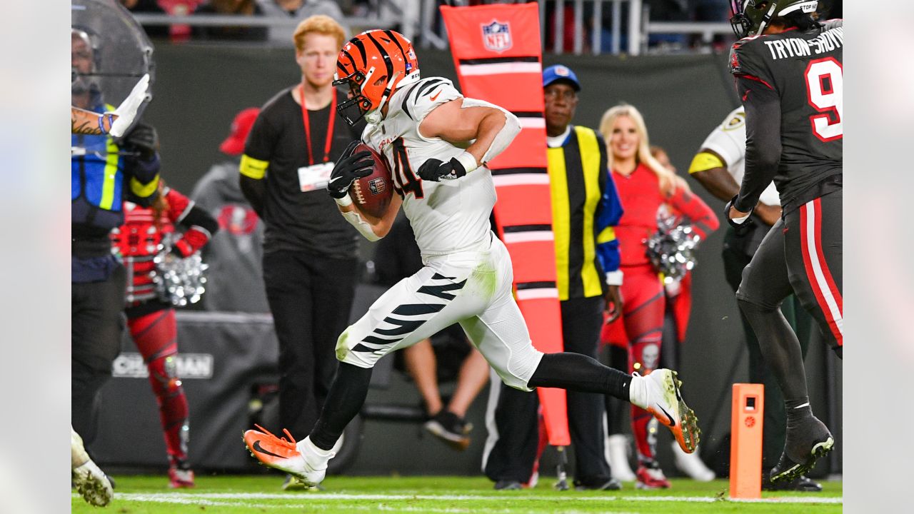 Photo: Cincinnati Bengals v Tampa Bay Buccaneers in Tampa - FLSN20221218119  