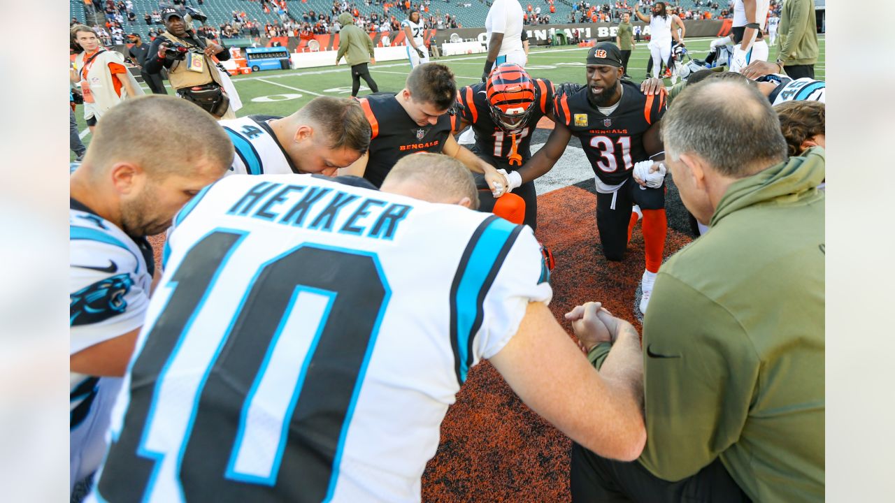 Carolina Panthers vs. Cincinnati Bengals Week 9 Preview