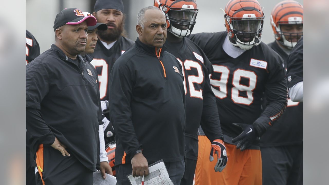 NFL  Cincinnati Bengals: Marvin Lewis still standing