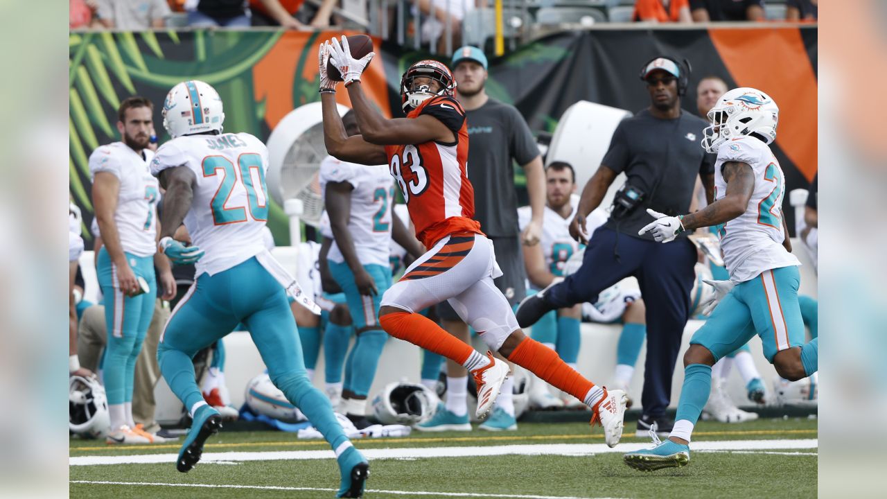 Dolphins jump out to 3-score lead, Bengals rally to win 27-17 Florida & Sun  News - Bally Sports