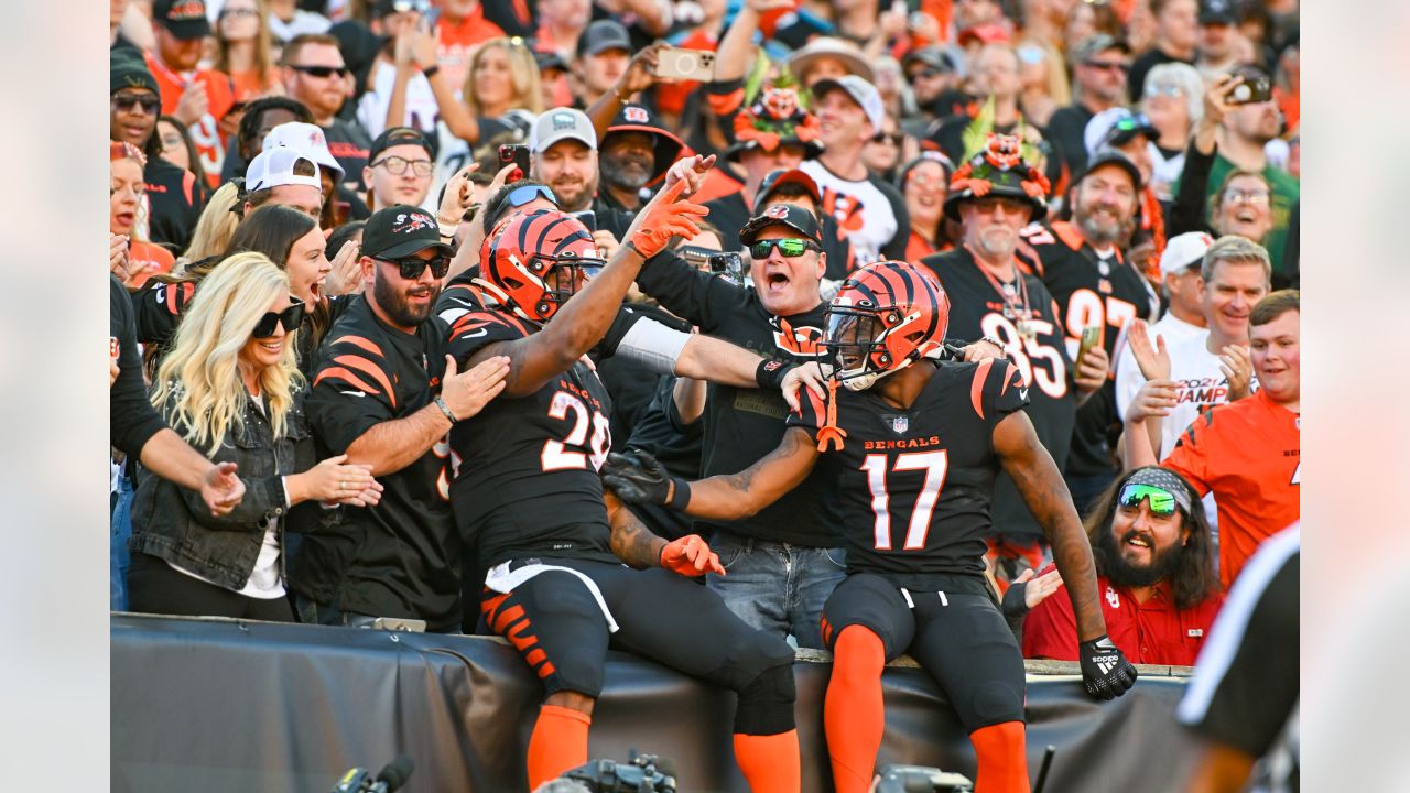 What Led to the Bengals Obliterating the Panthers In Week 9?