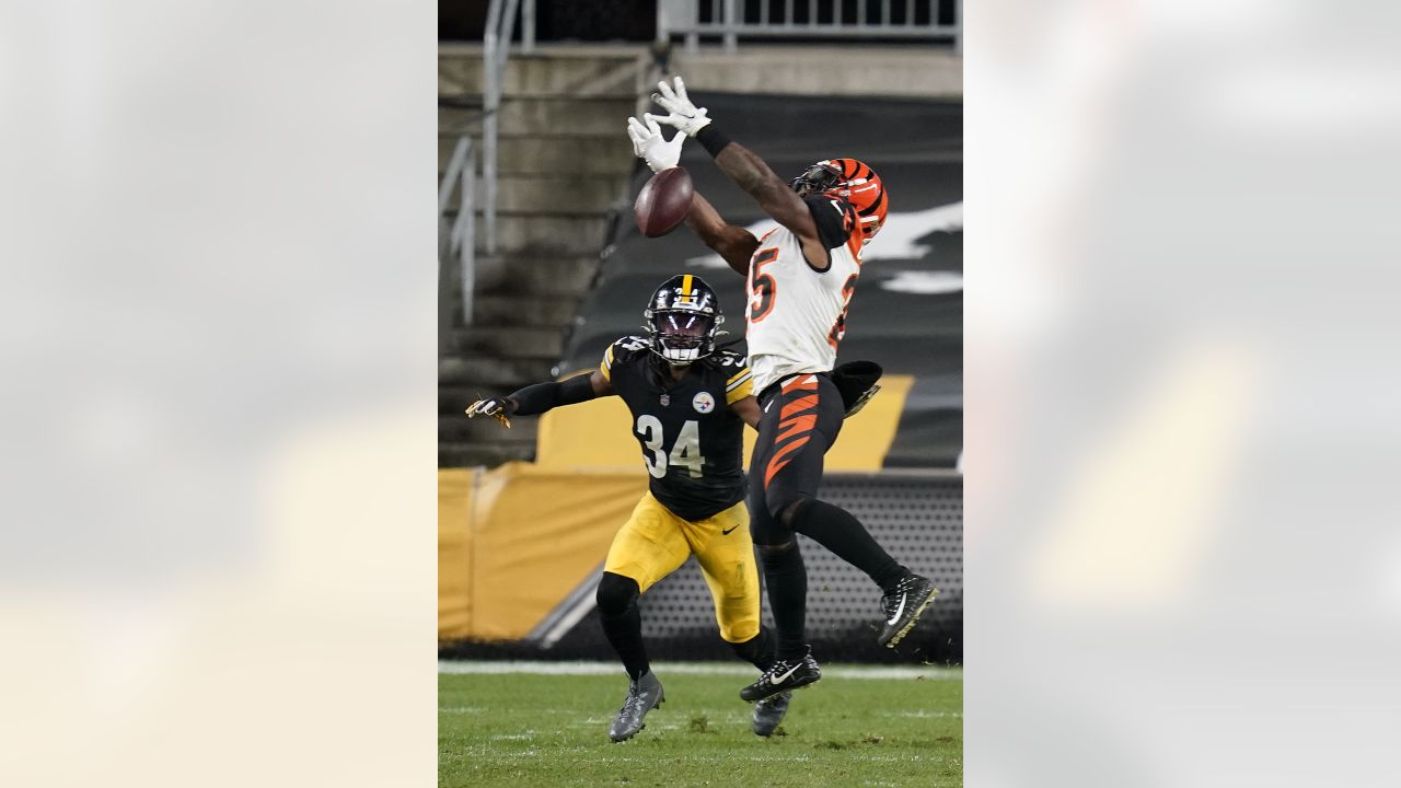 Pittsburgh Steelers safety Terrell Edmunds (34) lines up during