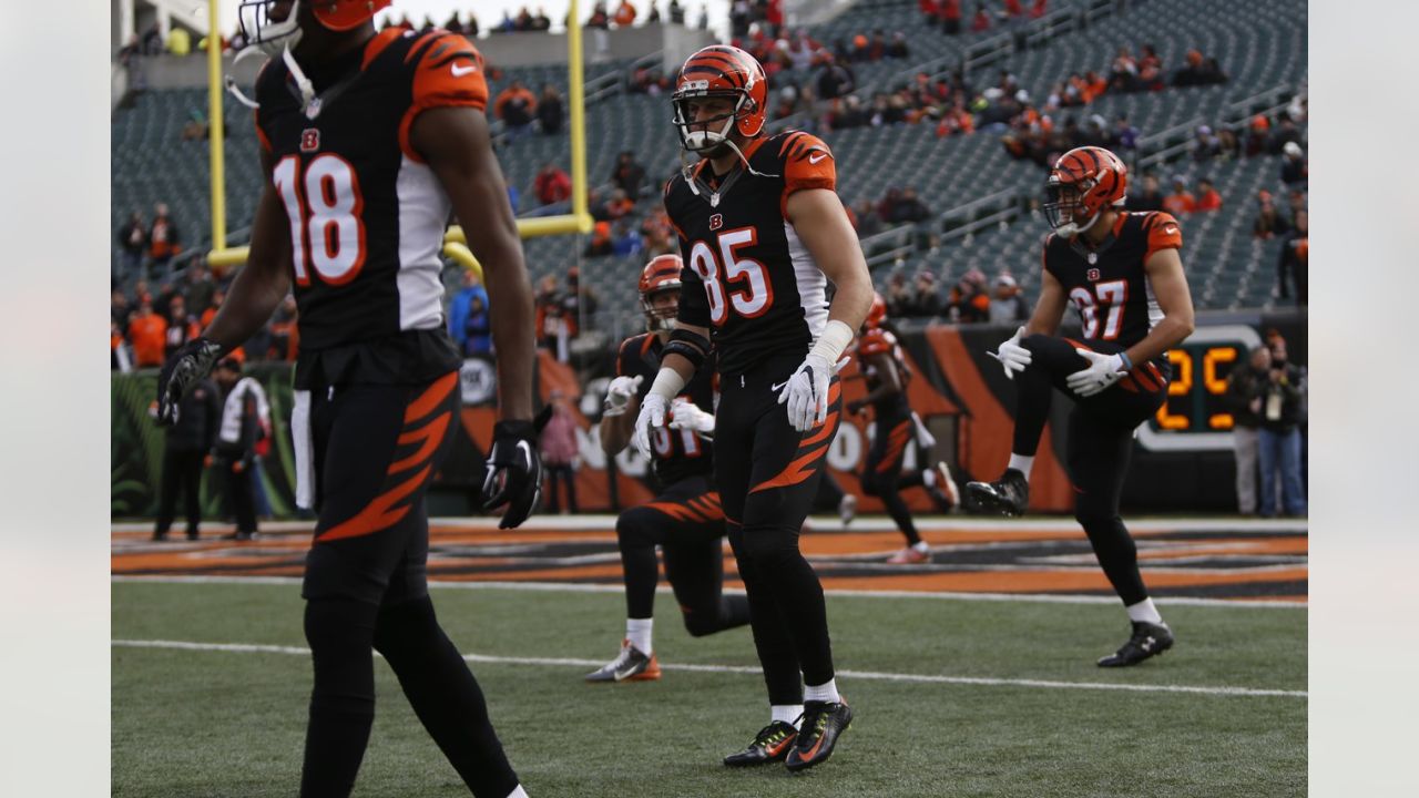 Remembering the best moments of Jon Kitna's career with the Bengals - Cincy  Jungle