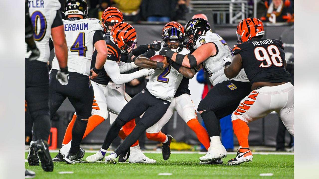 Ravens Excited to Visit Bengals on Wild-Card Weekend