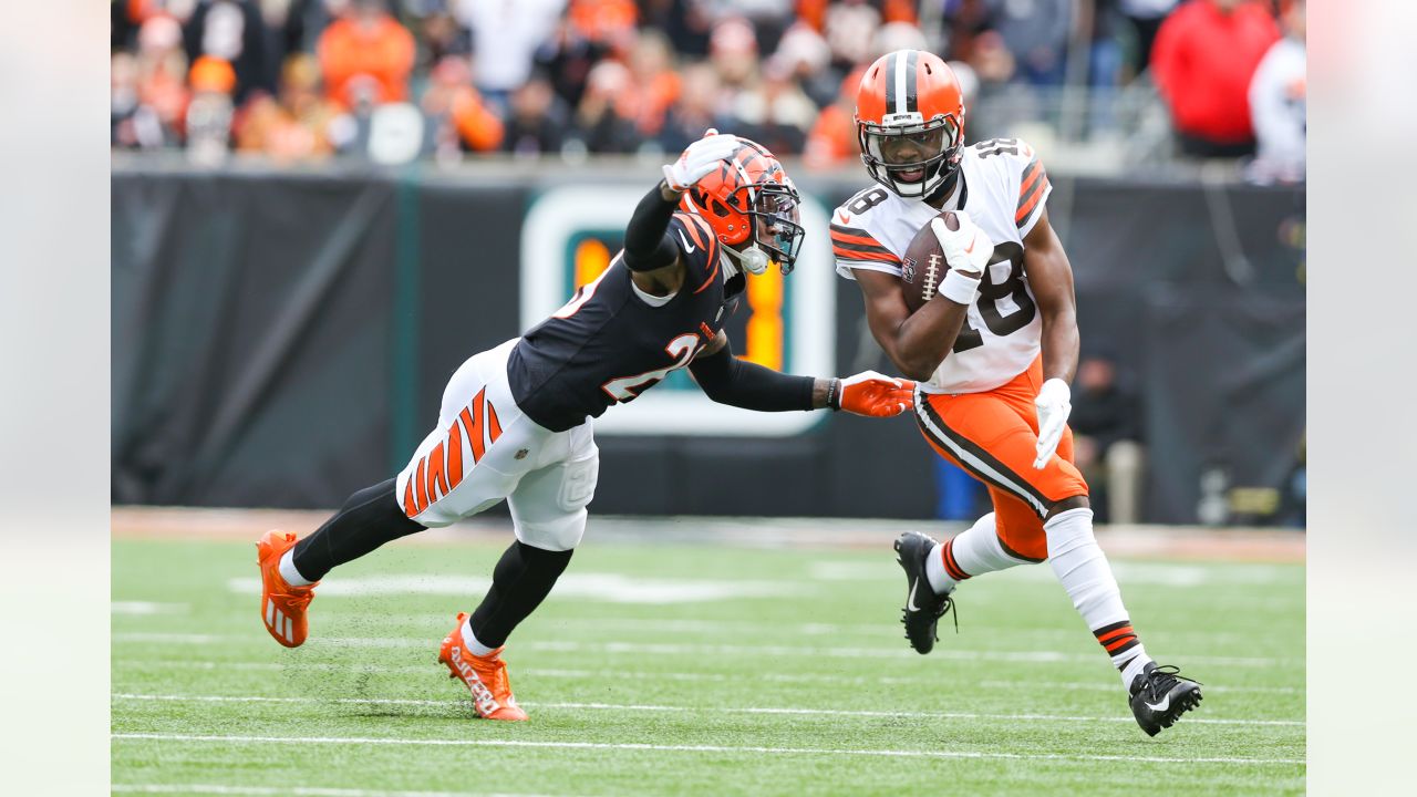 Photos: Week 14 - Browns at Bengals Game Action